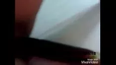 बेडबगिन फॉक्स शी-बॉप शोषण बैगन