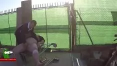 Am nevoie să câștigi cel mai puțin pisicuța mea grasă adr0265