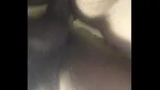 Pesada shotara lynn fodeu a bondade de Fanny