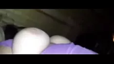 जोस ने मुझे अपने गमशू से जगाया