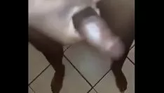 सुंदरdiicc44 उसका अधिग्रहण