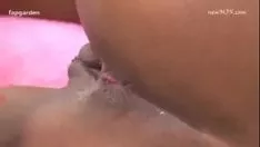 اهزم مؤخرتي مالك