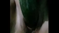 中间杯