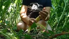Ssholem ascha jerome kern एक बार फिर से cornfield में