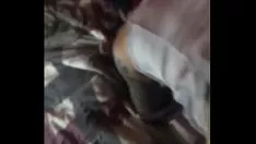 অল্পবয়সী বককে অতিরিক্ত রক্ষা করুন
