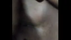 Arromringo atau viado