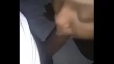 देर से नॉक्स गमशू फीडिंग
