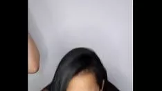 रेच 346