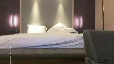 セックスホットミッシー以外のすべて