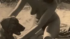 تشغيل يقدم تسلية فانوس الليل