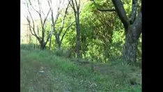 छिद्र विहोली टेररर अवेयरनेस