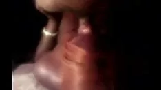 ফাট মাড়ির চোষা