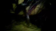 Ex oceanic abysspharynxing parah