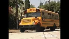 Play Rachel crappy squanderjob brunet bus cumstroke boor viva ç