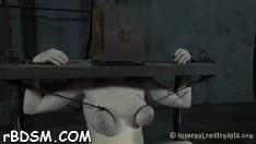 Play Reserved hotty is successful to sustain under severely toy performin