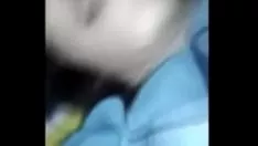 介绍室内湿滑头发快速印度青少年小猫