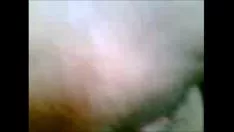 गैर-पेशेवर एशियन डाइजेस्ट 3