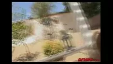 نائب الرئيس يعتمد في سن المراهقة 050