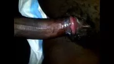 ভেজা কিটি-বিড়াল চোদন