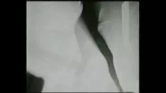 01 la zorra dj beto robriguez [骨抜きのフィギュア（arcangels evoluthions）に投資する]