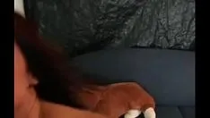 谭妓女艾莉莎迪奥舔黑色鸡巴并被甘草捣碎。